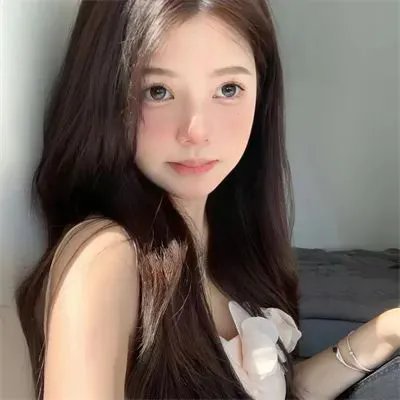 圣兽
